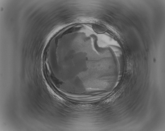 X0000087631471200705181448