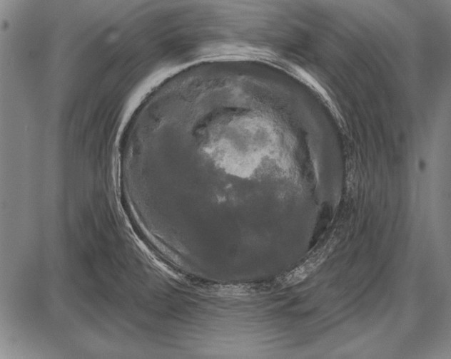 X0000087631472200705181448