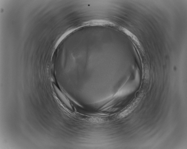 X0000087631473200705181448