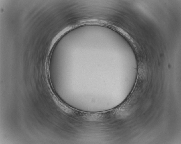 X0000087631474200705181448