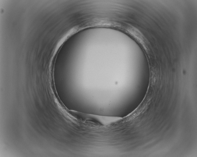 X0000087631475200705181448