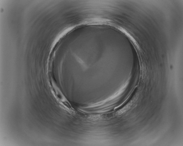 X0000087631477200705181448