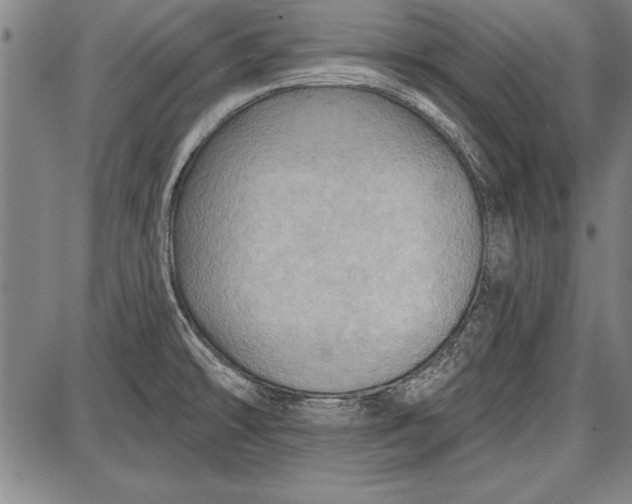 X0000087631478200705181448