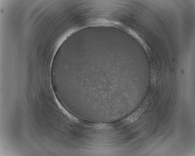 X0000087631479200705181448