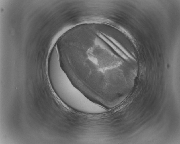 X0000087631480200705181448