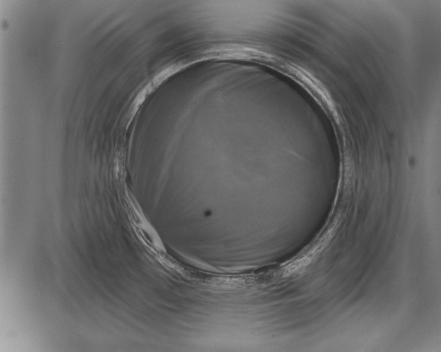 X0000087631481200705181448