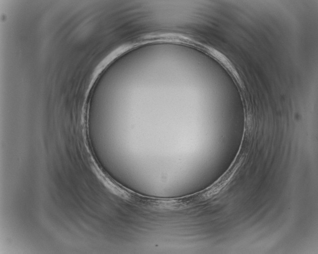 X0000087631482200705181448