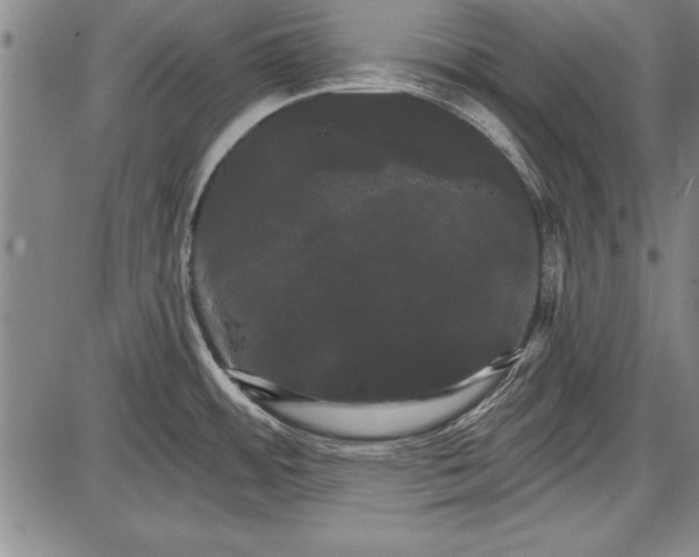 X0000087631484200705181448