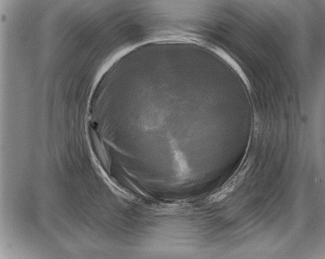 X0000087631485200705181448