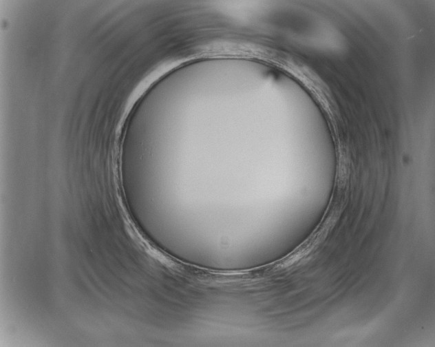 X0000087631486200705181448