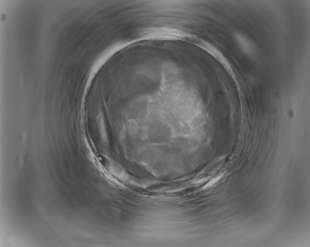 X0000087631488200705181448