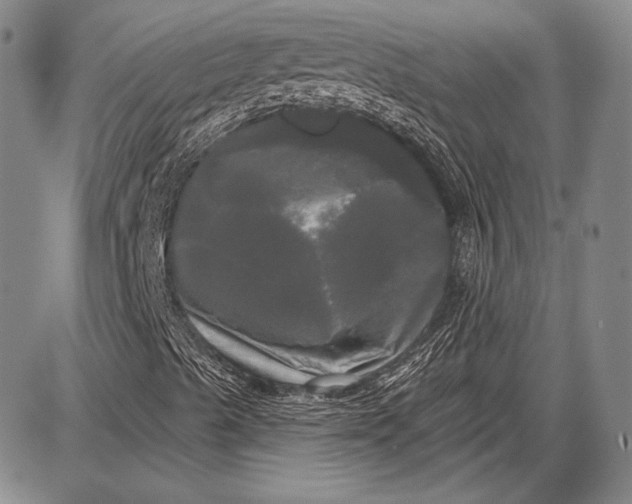 X0000087631489200705181447