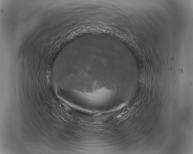 X0000087631490200705181447