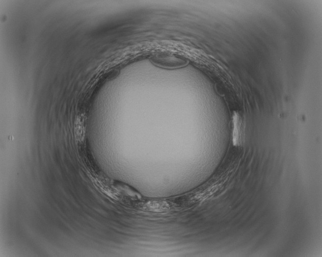 X0000087631491200705181447