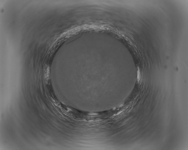 X0000087631492200705181447