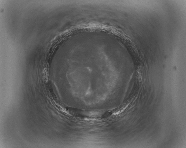 X0000087631493200705181447