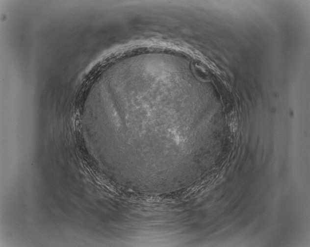 X0000087631495200705181447