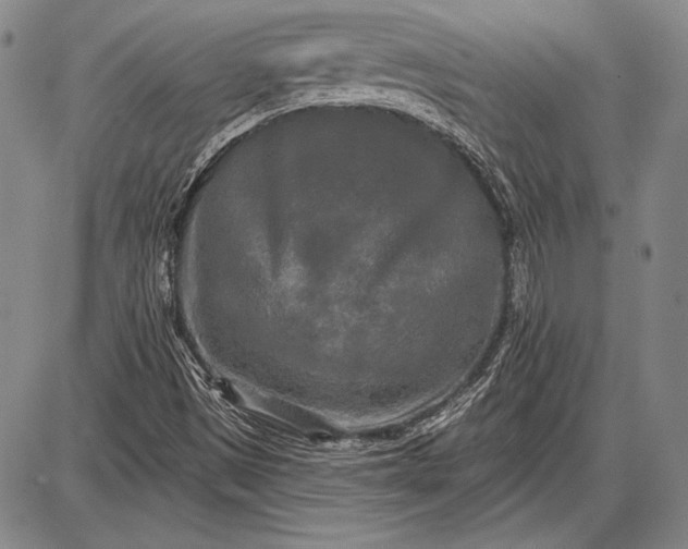 X0000087631497200705181447