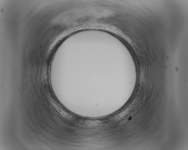 X0000087631498200705181447