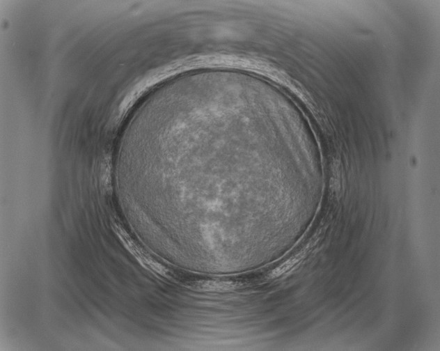 X0000087631499200705181447