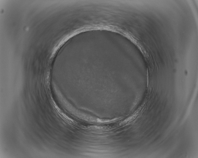 X0000087631500200705181447