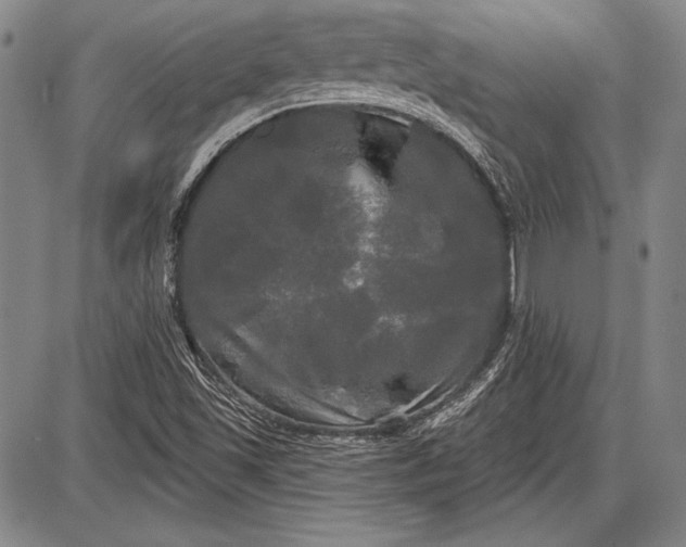 X0000087631501200705181447