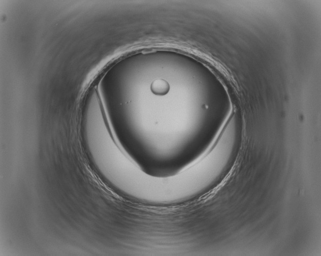 X0000087631502200705181447