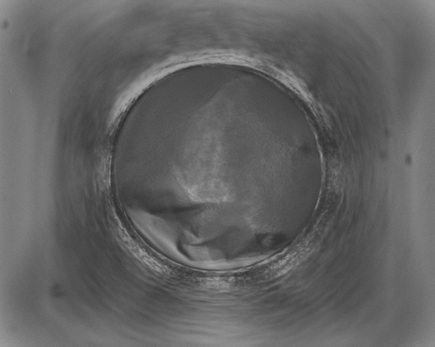 X0000087631504200705181447