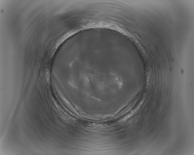 X0000087631505200705181447