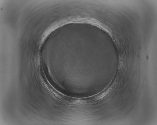 X0000087631506200705181447