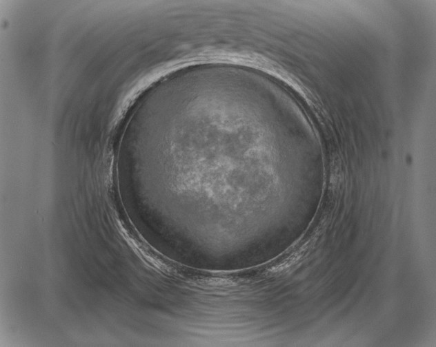 X0000087631507200705181447