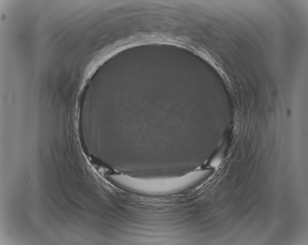 X0000087631508200705181447