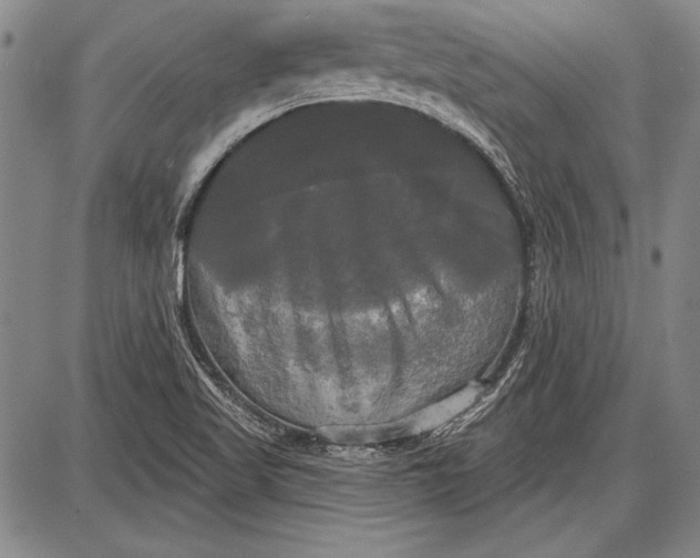 X0000087631509200705181447