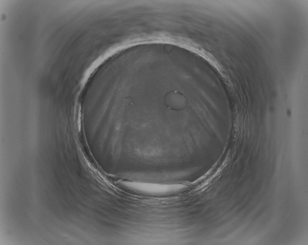 X0000087631510200705181447