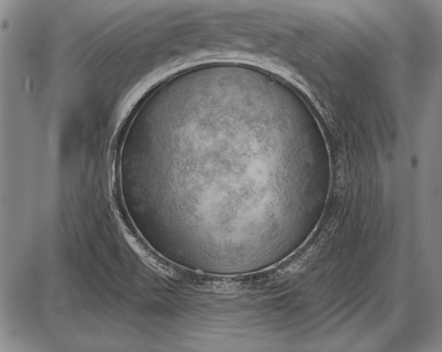 X0000087631511200705181447