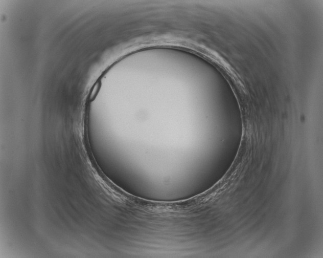 X0000087631512200705181447