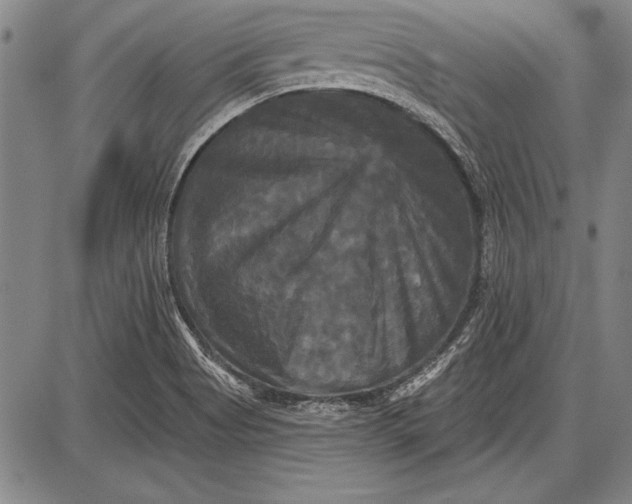 X0000087631513200705181447