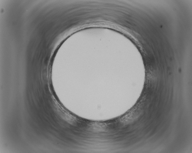 X0000087631514200705181447