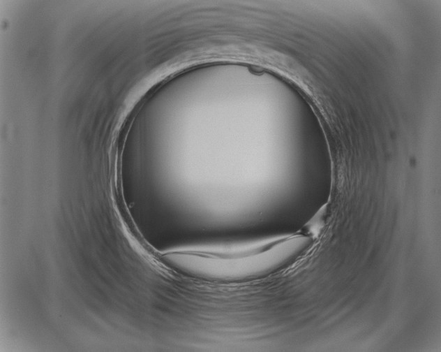 X0000087631515200705181447