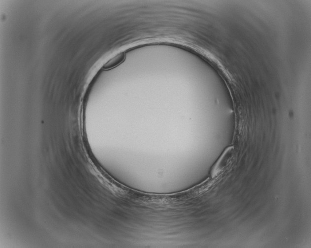 X0000087631516200705181447