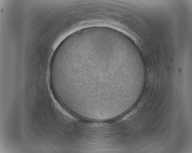 X0000087631518200705181447