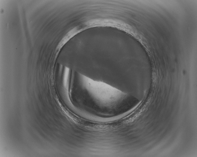 X0000087631521200705181447