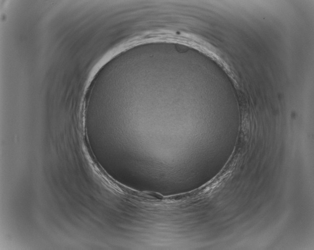 X0000087631522200705181447