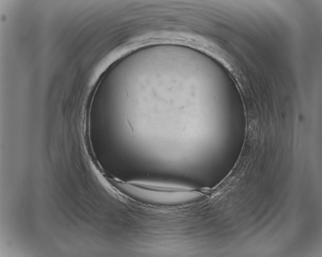 X0000087631523200705181447