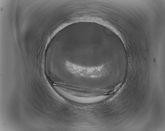 X0000087631525200705181447