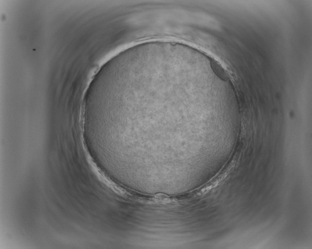 X0000087631526200705181448