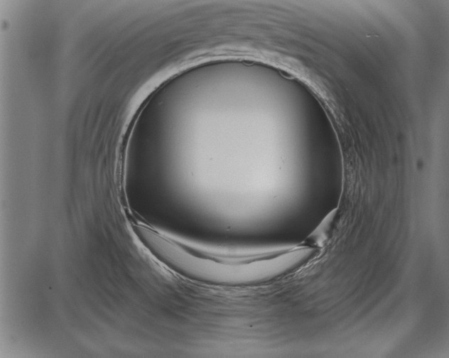 X0000087631527200705181448