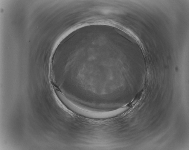 X0000087631528200705181448