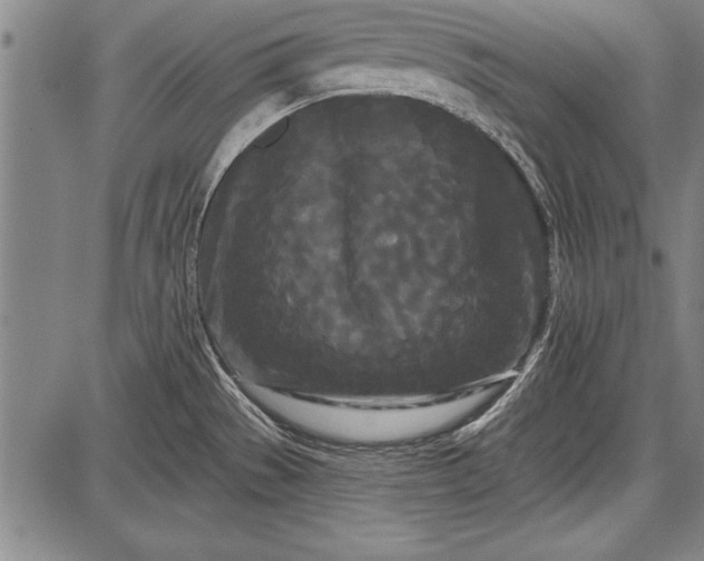 X0000087631529200705181448