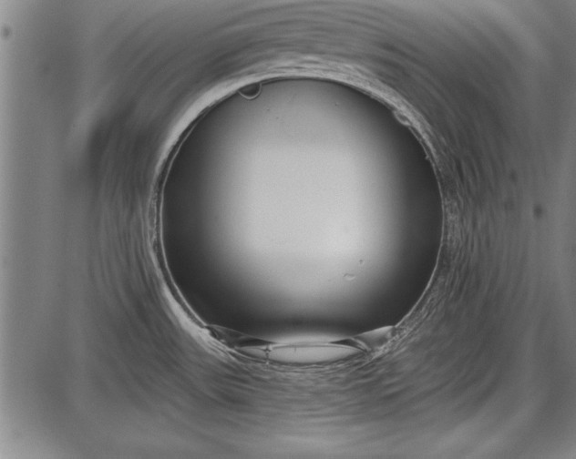 X0000087631531200705181448